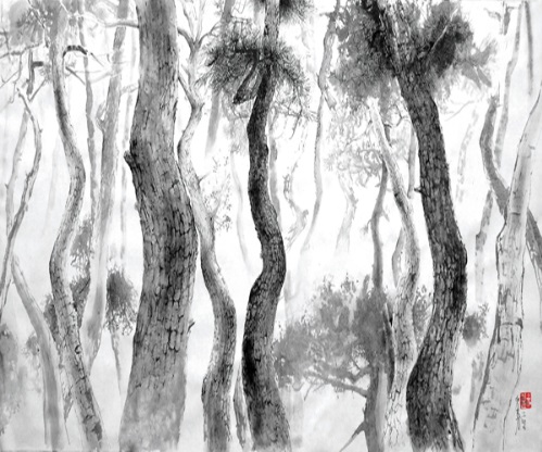 Æ÷ÀÎÆ® ¼Ö³ª¹«2 Æ÷ÀÎÆ® ¼Ö³ª¹«2.jpg