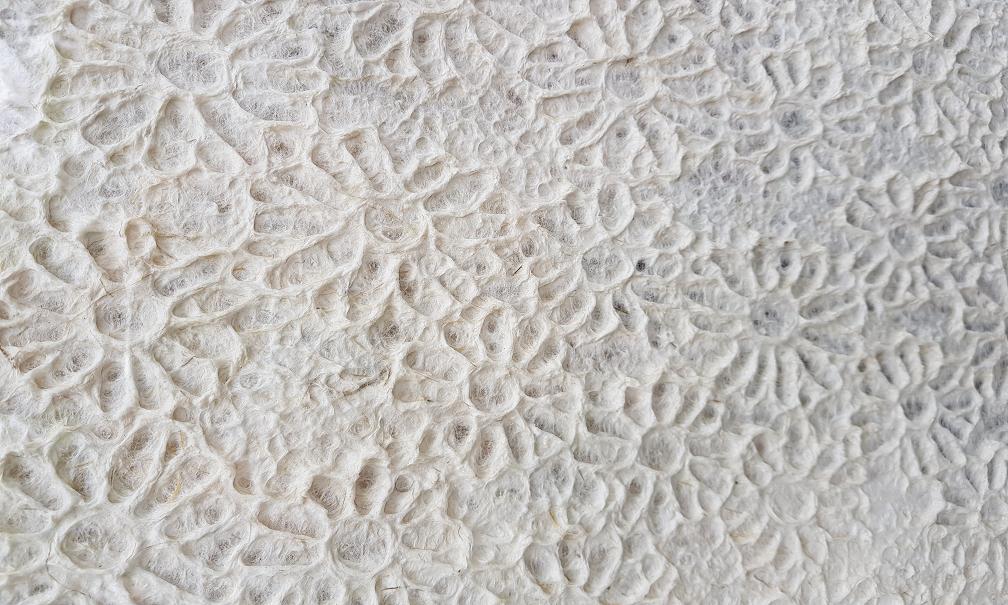 ����ȫ�ɼ�������