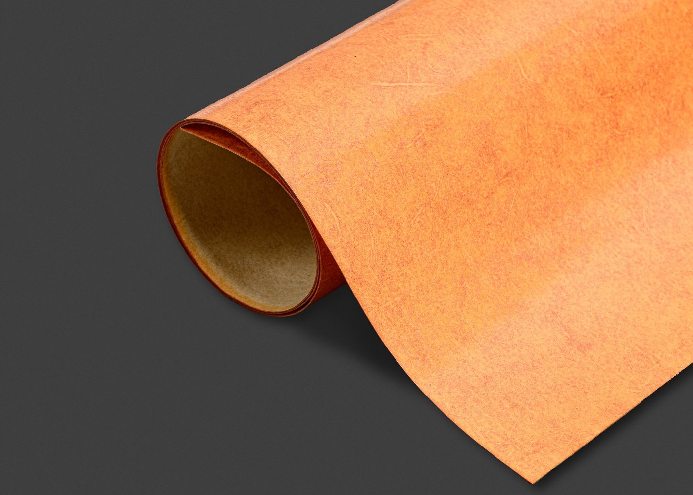 9�� ��ĥ3ȸ �������� (ü��)