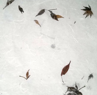 �ڿ�âȣ ��ǳ.jpg