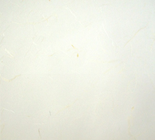 ´ÚÇâ¹é»ö ´ÚÇâ¹é»ö.jpg