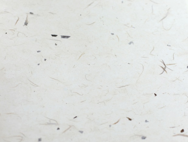 ȲÅäÇ¥ÇÇ È²ÅäÇ¥ÇÇ.jpg