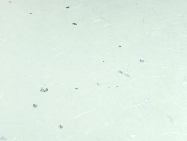 Àºº®Áö Àºº®Áö.jpg