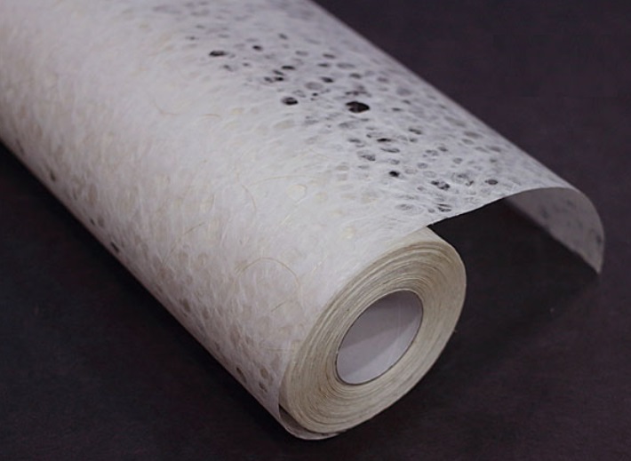 ÆÄÃÊÁö¹é»ö ÆÄÃÊÁö¹é»ö.jpg