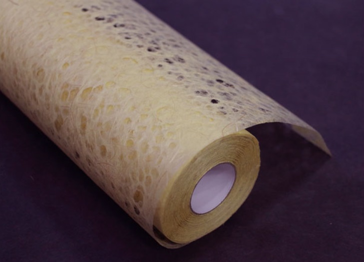 ÆÄÃʳë¶û ÆÄÃʳë¶û.jpg