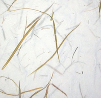 �ڿ�âȣ �ܵ�.jpg