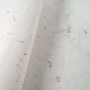 �ڿ�âȣ ����.jpg