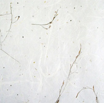 �ڿ�âȣ ��Ǯ.jpg