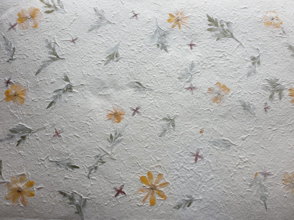 ²ÉÀÙÁö ±¹È²ÉÀÙ ²ÉÀÙÁö ±¹È²ÉÀÙ.jpg