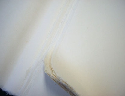 ¼øÁö ¼øÁö.jpg