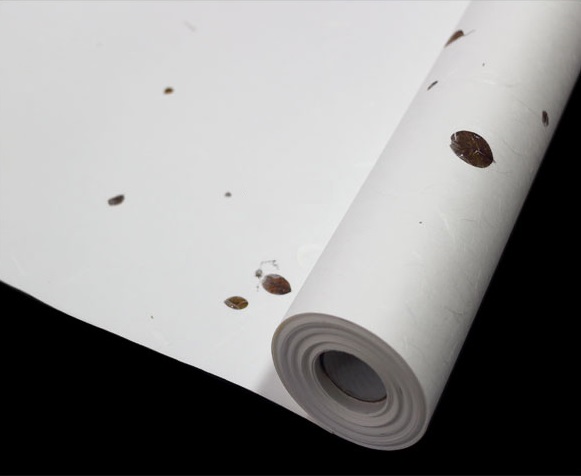 Áö¸®»ê½Î¸®ÀÙ Áö¸®»ê½Î¸®ÀÙ.jpg