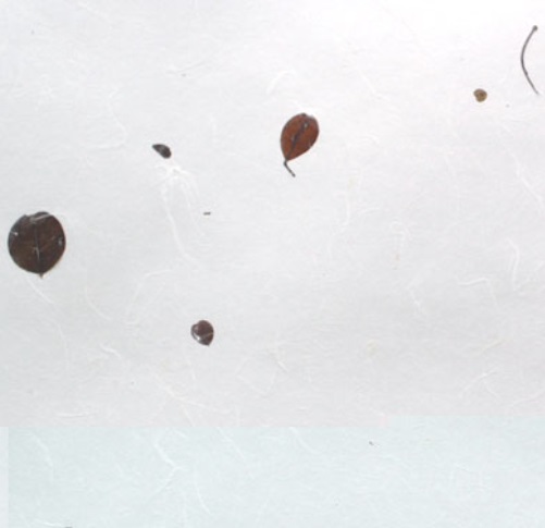 Áö¸®»ê½Î¸®ÀÙ2 Áö¸®»ê½Î¸®ÀÙ2.jpg