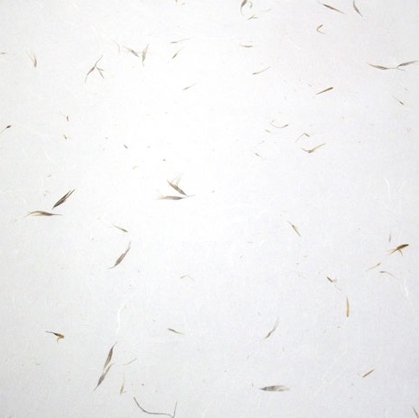 Áö¸®»ê°¥´ë2 Áö¸®»ê°¥´ë2.jpg