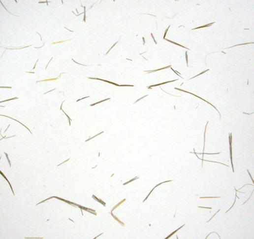 Áö¸®»êÀܵð2 Áö¸®»êÀܵð2.jpg