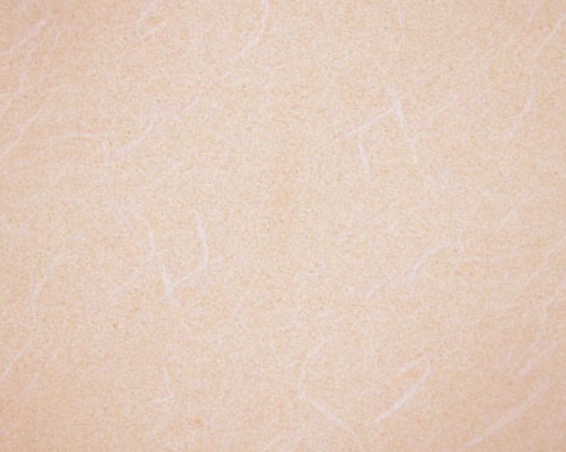 Áö¸®»êȲÅä2 Áö¸®»êȲÅä2.jpg