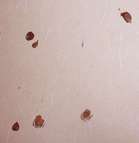 Áö¸®»êȲÅä½Î¸®2 Áö¸®»êȲÅä½Î¸®2.jpg