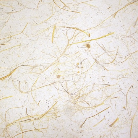 Áö¸®»êÁöǪ¶ó±â2 Áö¸®»êÁöǪ¶ó±â2.jpg