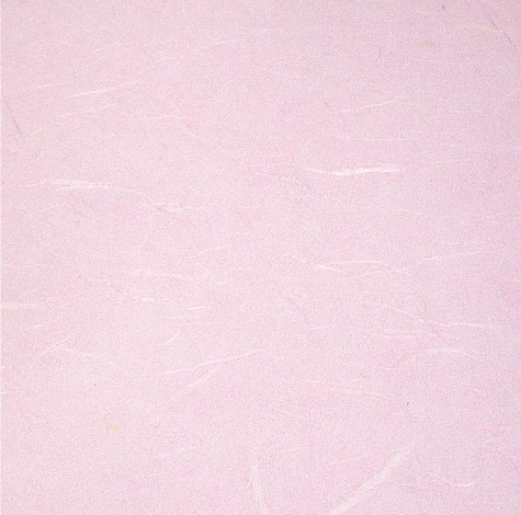 ����� ����ȫ1.jpg