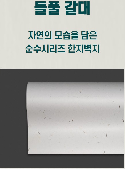 µéÇ®°¥´ë µéÇ®°¥´ë.jpg