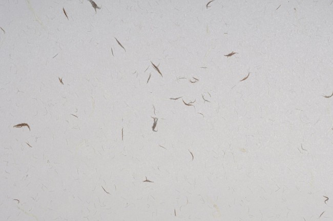 µéÇ®°¥´ë2 µéÇ®°¥´ë2.jpg