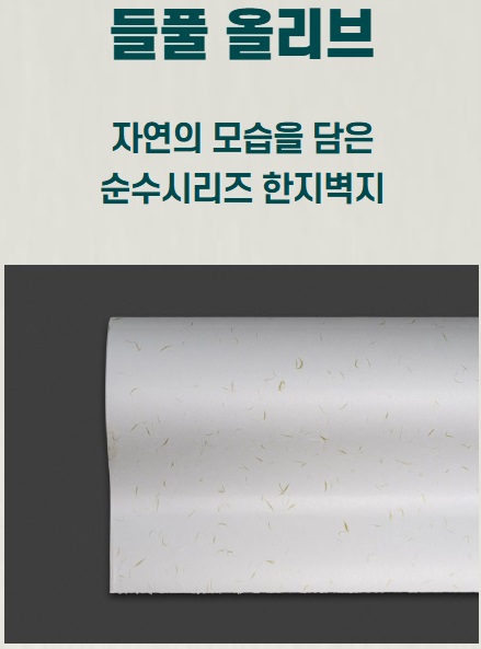 µéÇ®¿Ã¸®ºê µéÇ®¿Ã¸®ºê.jpg