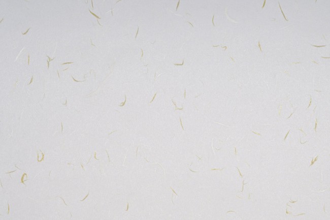 µéÇ®¿Ã¸®ºê2 µéÇ®¿Ã¸®ºê2.jpg