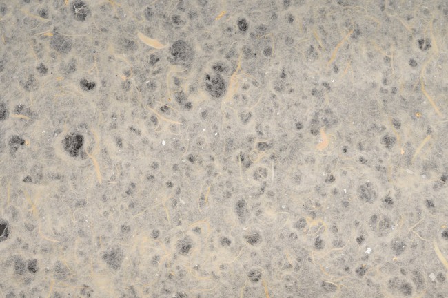 ������� ��Ȳ��3.jpg